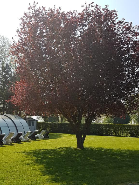 Hotel Du Golf Cabourg Eksteriør bilde